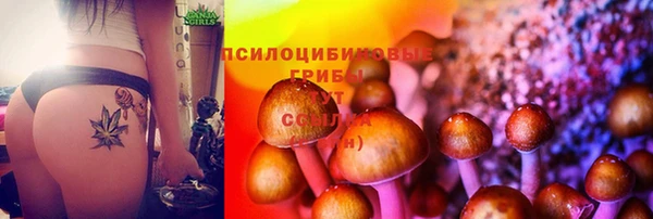 дмт Алексеевка