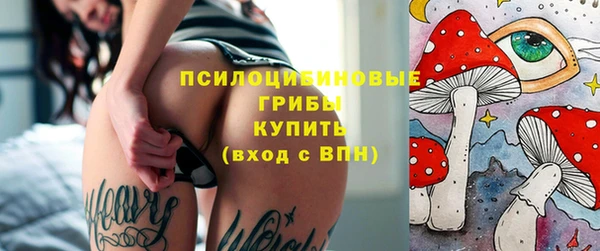 спиды Алзамай